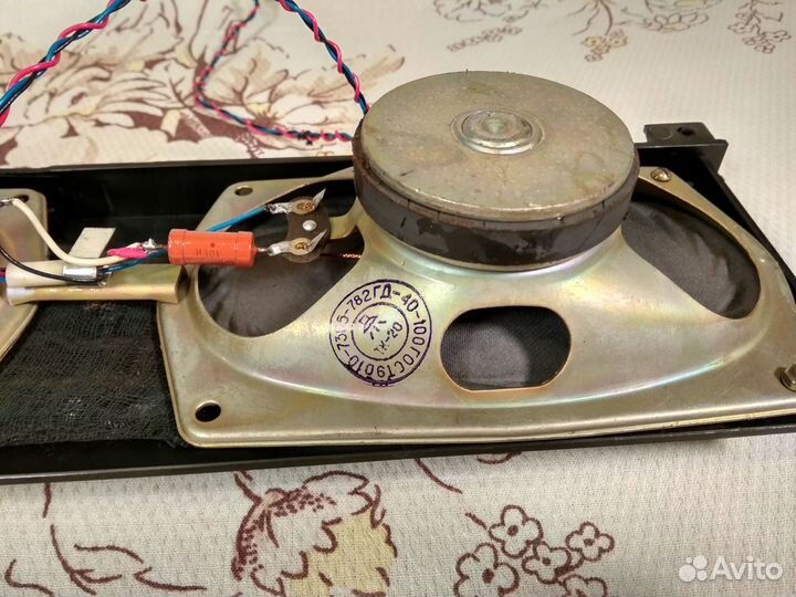 Два динамика 2гд-40-100 установленные на панель