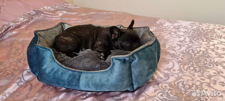 Лежанка для собак и кошек