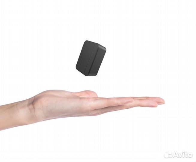 Gps ошейник для животных