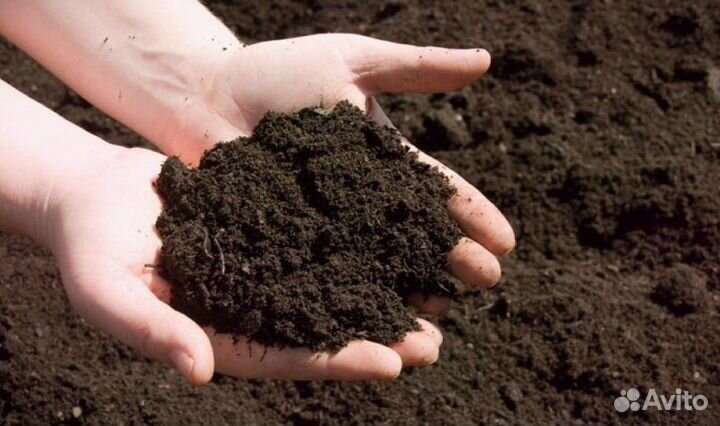 Грунт растительный