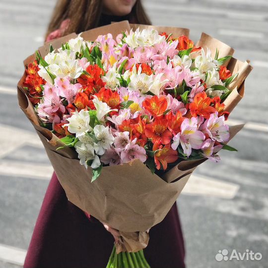 Букет из 15,25,51 и 101 Альстромерии Букет Москва