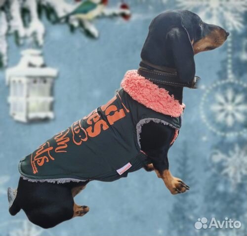 Жилет, куртка для собак средних пород pawstar