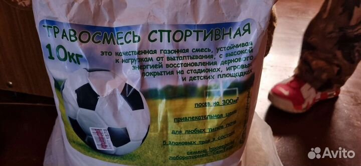 Семена газонной травы