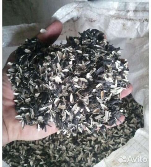 Лузга подсолнечника в мешках сухая чистая