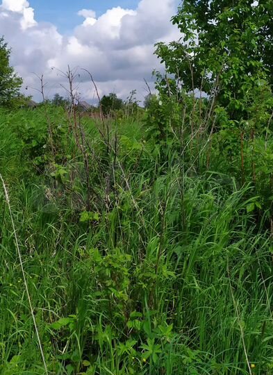 Участок 14 сот. (ИЖС)