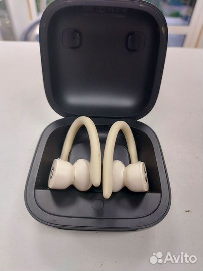 Наушники Beats Powerbeats Pro (162505)