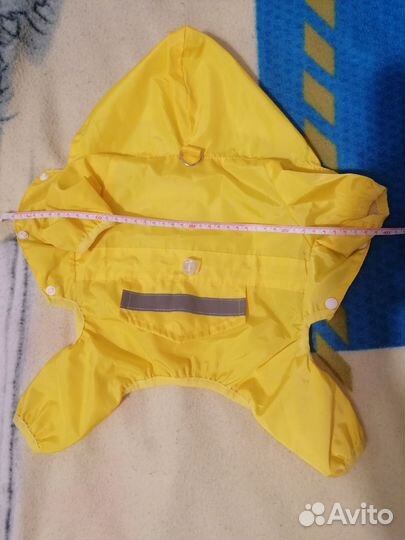 Одежда для собак мелких пород