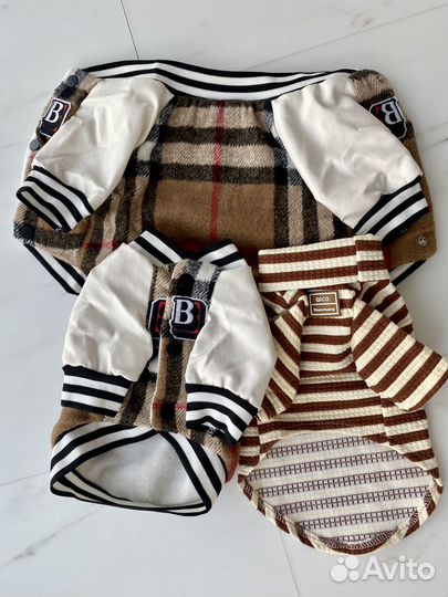 Одежда для собак