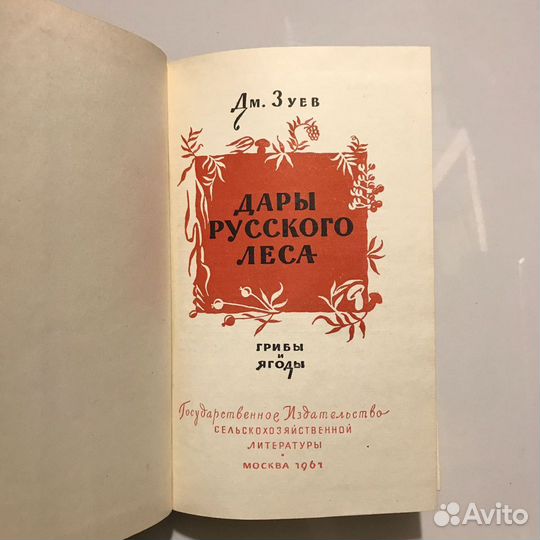 Дары русского леса