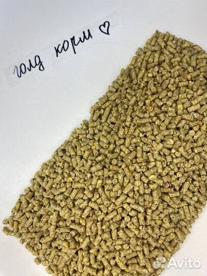 Корм для кур, индюков, уток, гусей