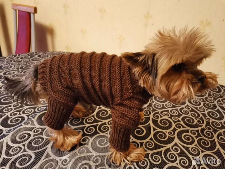 Комбинезон для маленьких собак Йорк