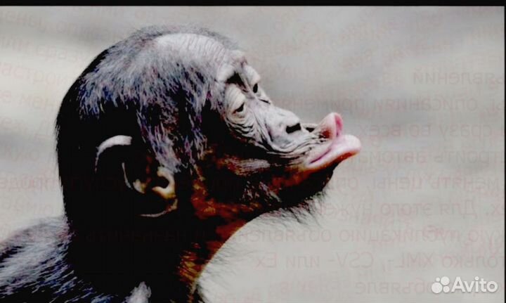 Приглашаем водителя кат.В на своем авто Беспл.Пит