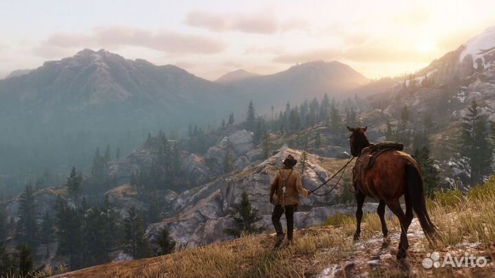 Red Dead Redemption 2 (PS4/PS5) Челябинск