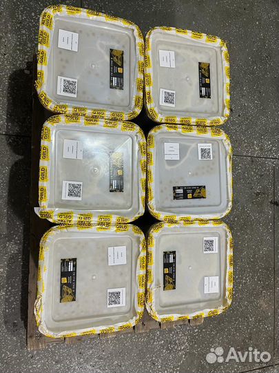 Мед цветочный оптом