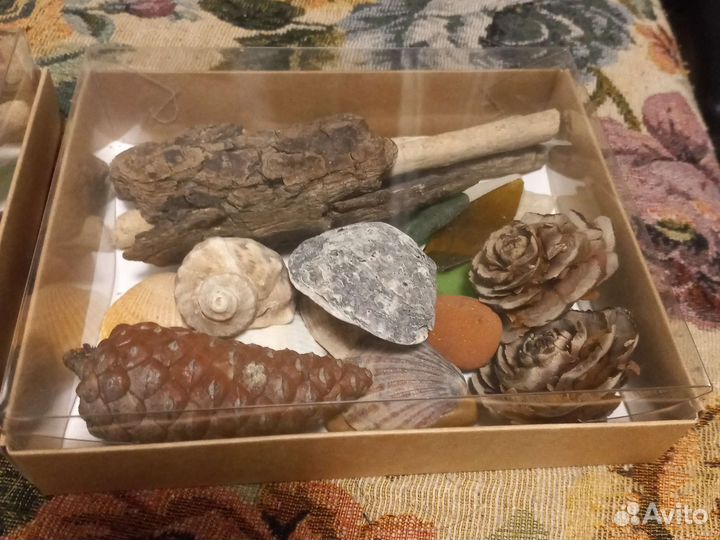 Набор для творчества из природных материалов