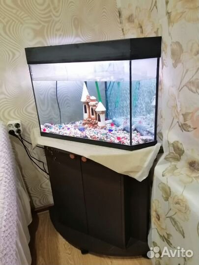Аквариум
