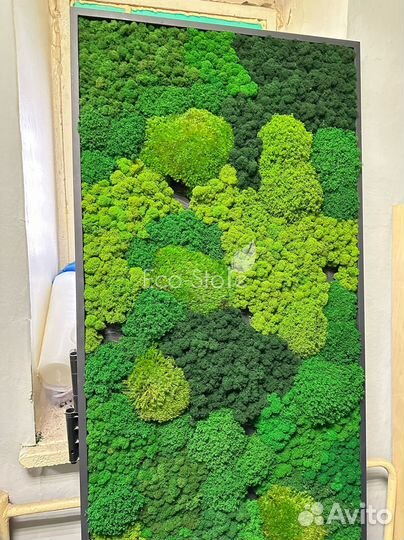 Панель из мха светлого и темного
