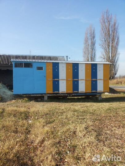 Пчелопавильон 2015