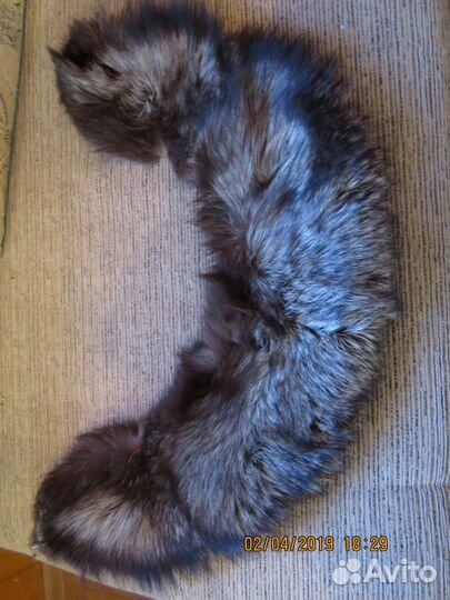 Заготовка ворота шкуры лисы