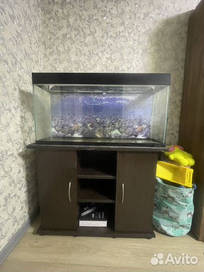 Аквариум