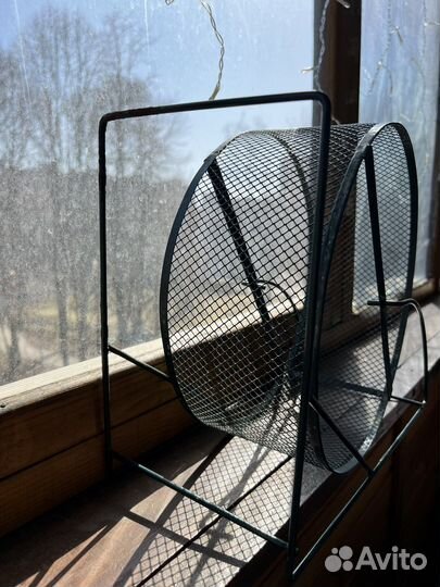 Беговое колесо для дегу