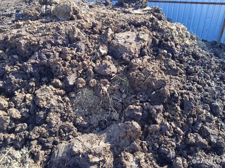 Навоз коровий