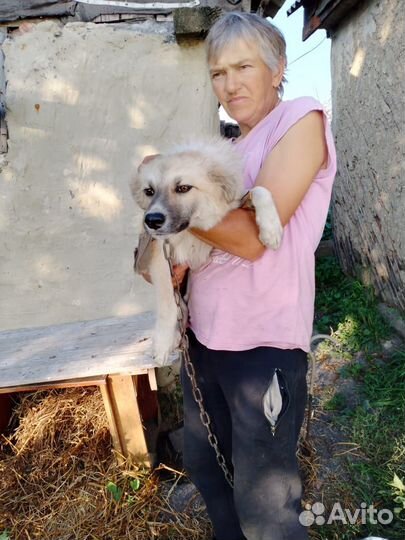 Замечательный ребенок