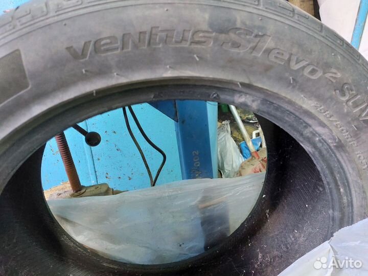 Hankook Ventus S1 Evo 2 SUV K117C 255/50 R19 101Y