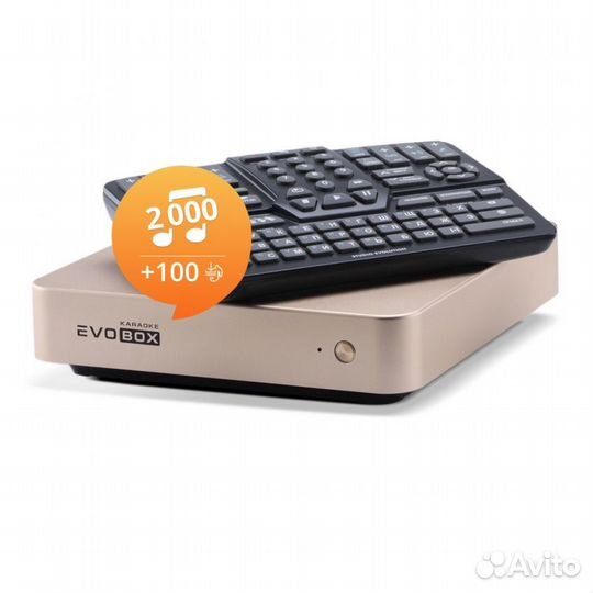 Караоке система Evolution Evobox Gold