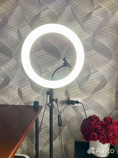Кольцевая лампа
