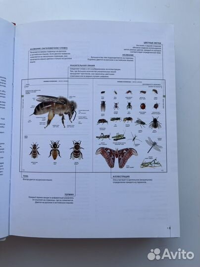 Испанский визуальный словарь