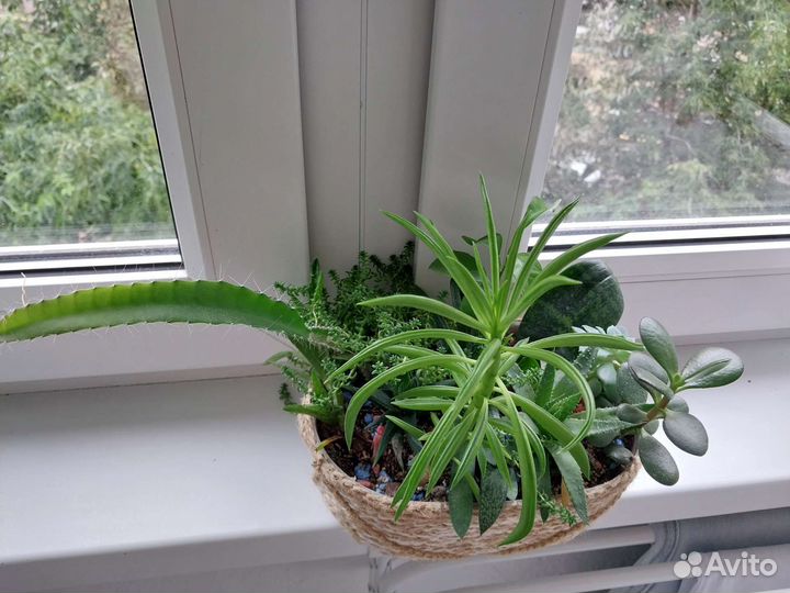 Минисадики