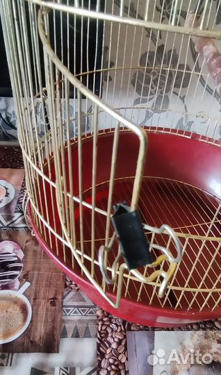 Клетка для попугая