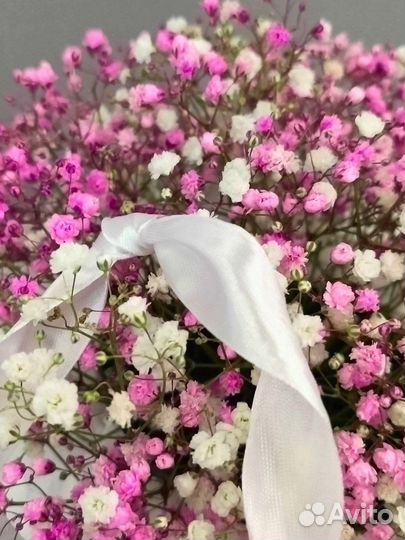 Маленькая коробочка с гипсофилой