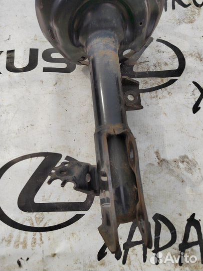 Амортизатор передний Toyota Rav4 axaa52 2019-Н.в