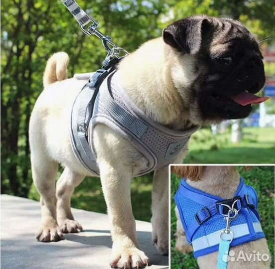 Шлейка для собак и кошек Размер L