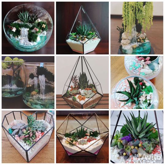 Флорариум, подарок, декор, букет для учителя