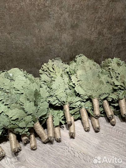 Дубовые Краснодарские веники. Сбор Июль 2023