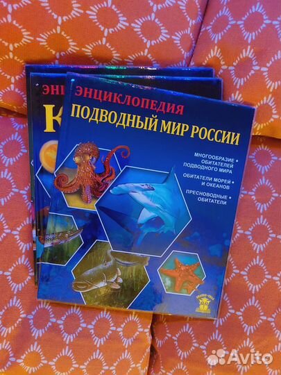 Энциклопедия