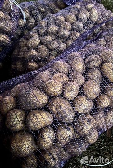 Картофель с доставкой