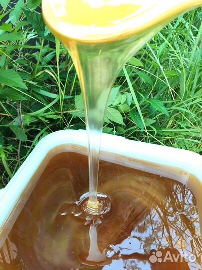 Мёд оптом, своя пасека, все документы, от 1кг