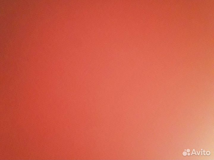 Цыплята суточные