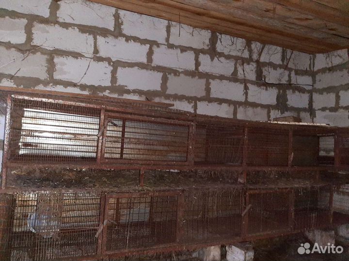 Клетки металлические