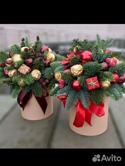 Композиции из нобилиса