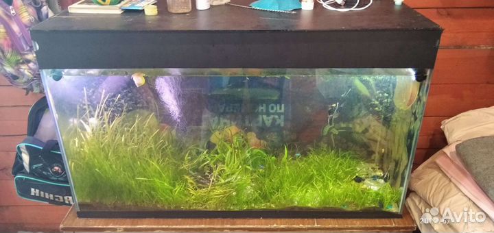 Аквариум