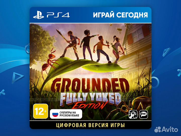 Grounded PS4
