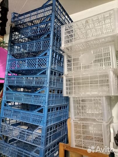 Пластиковые ящики бу