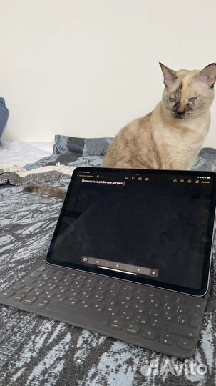 Чехол с клавиатурой iPad 11 SMART keyboard folio