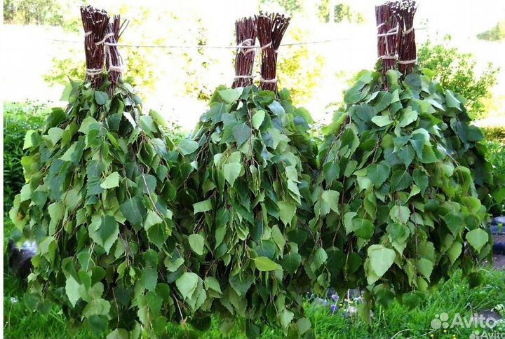 Веники для бани