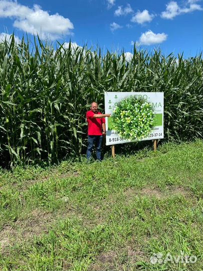 Агроном, Агросопровождение, Агроконсалтинг